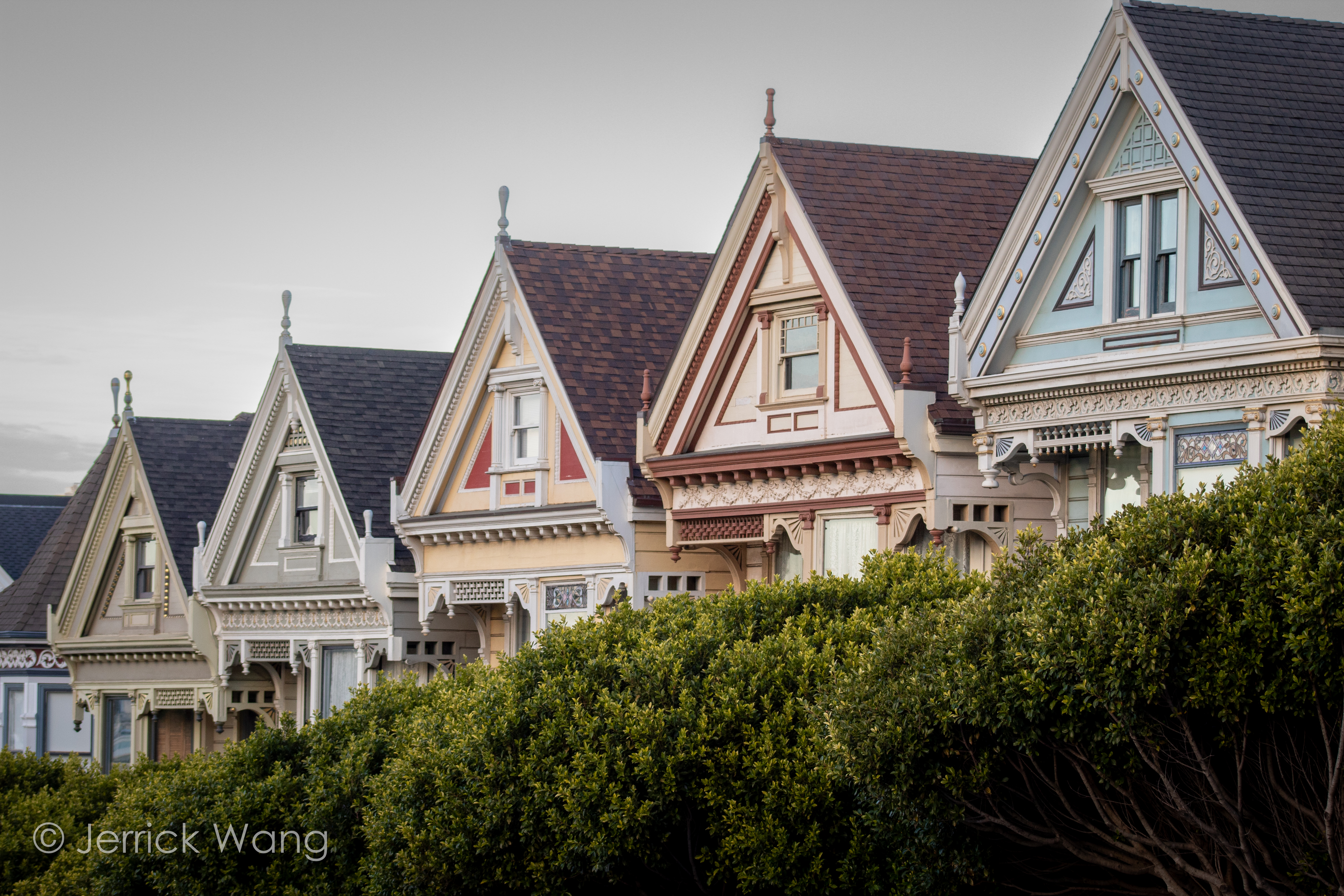 Painted Ladies