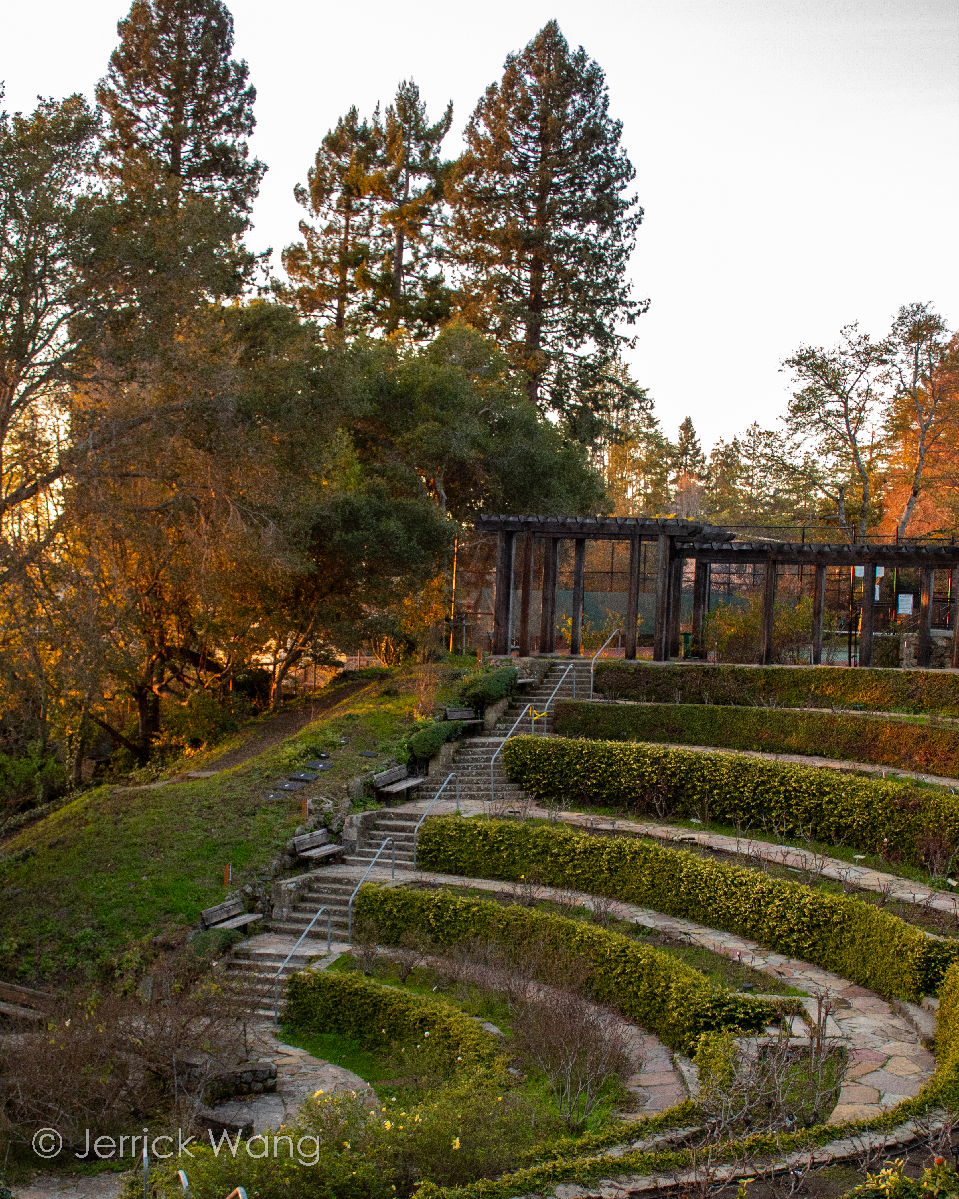 Berkeley Rose Garden